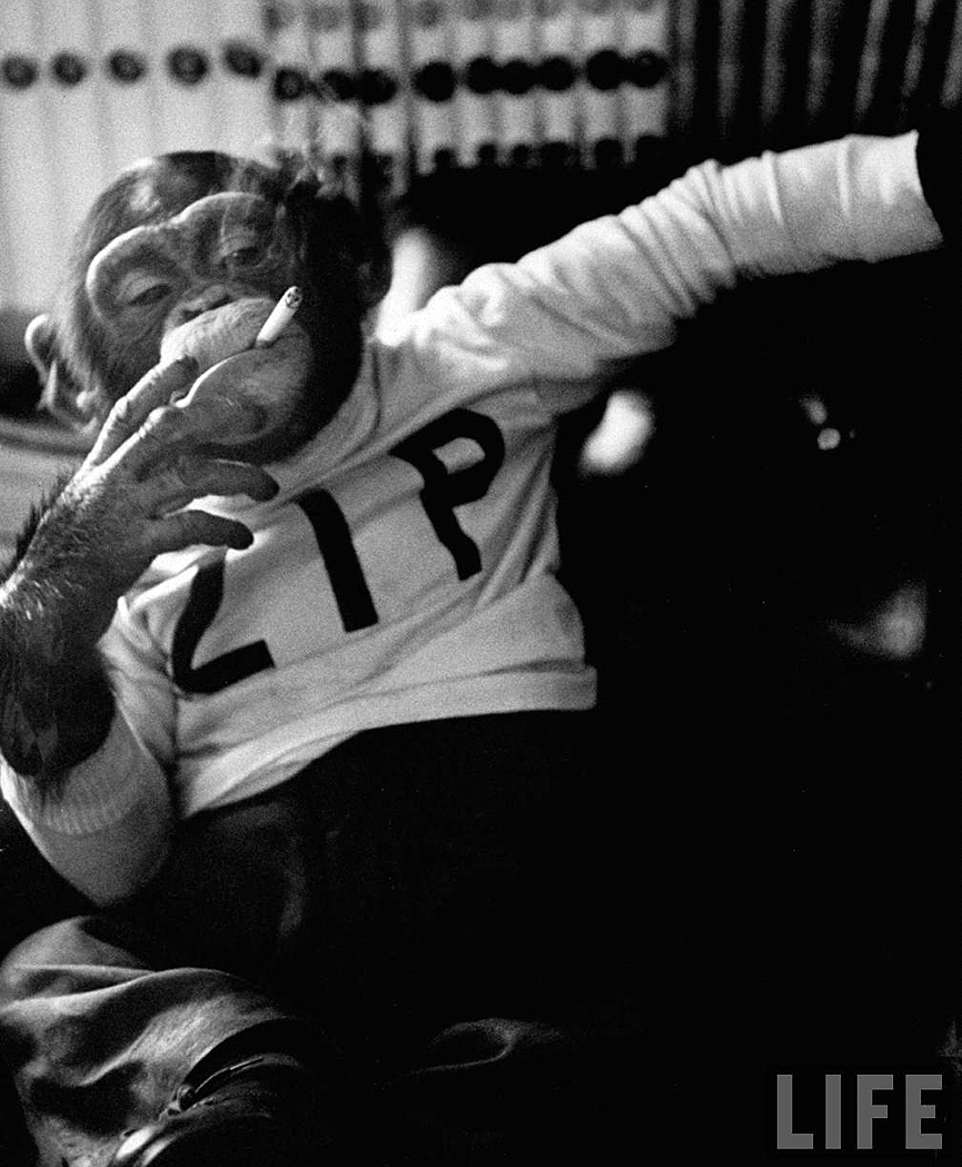 Tras su sesión de patinaje, Zippy se muestra relajado fumando un cigarrillo, abril de 1955. Michael Rougier