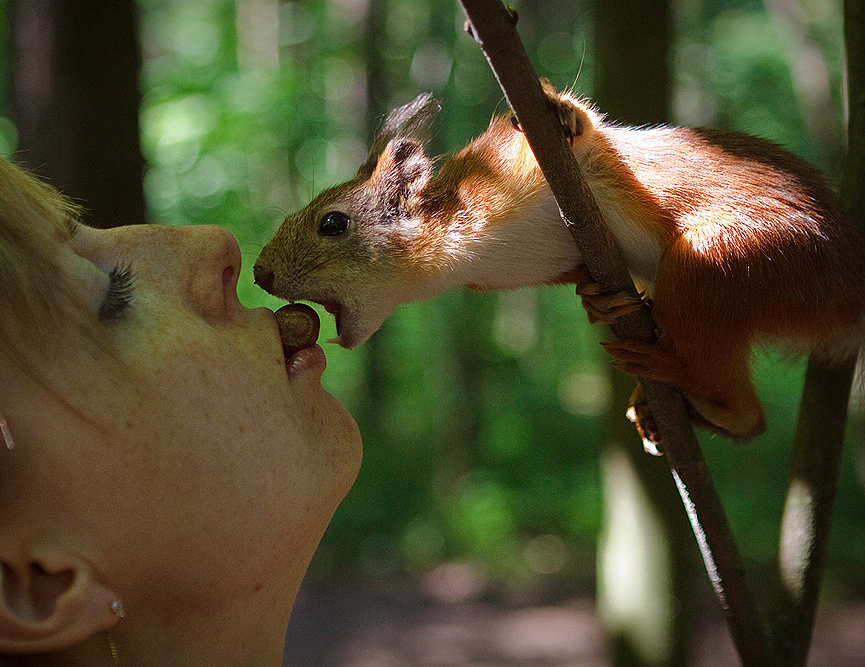 Intercambio entre especies. Алексей Болдычев