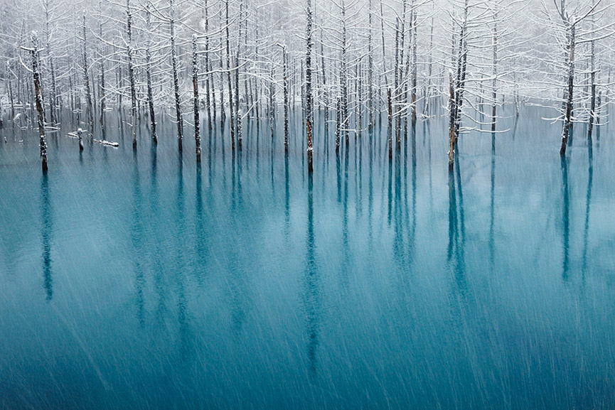 La laguna azul en Biei, Hokkaido, Japón. Kent Shiraishi