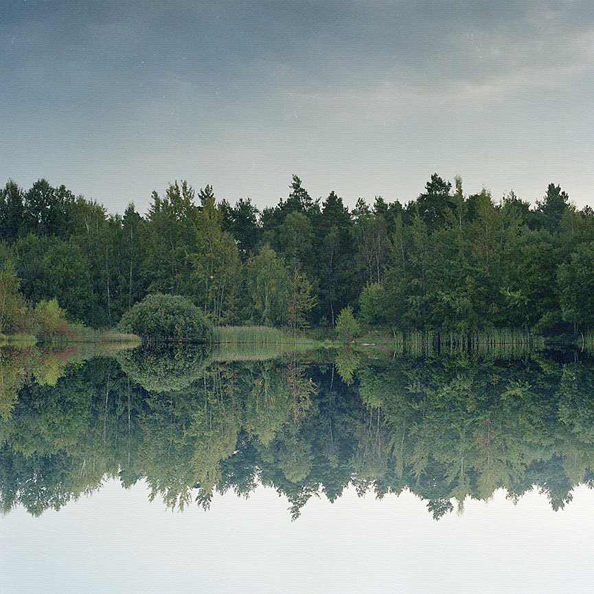 Trees in clouds. Martin Wunderwald