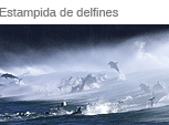 Estampida de delfines