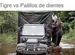 Tigre vs Palillos de dientes