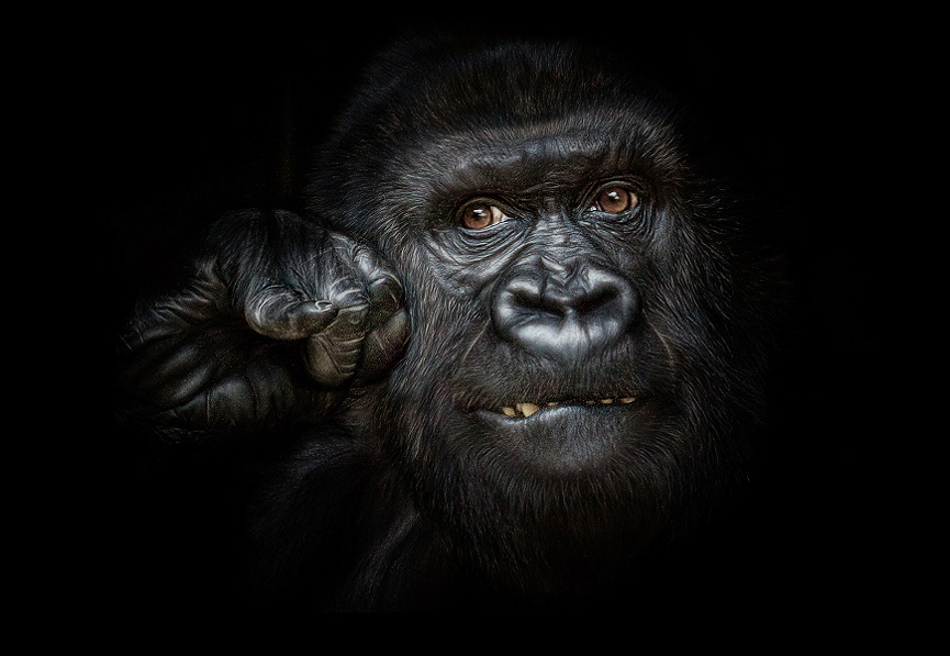 Keep Cool. Manuela Kulpa