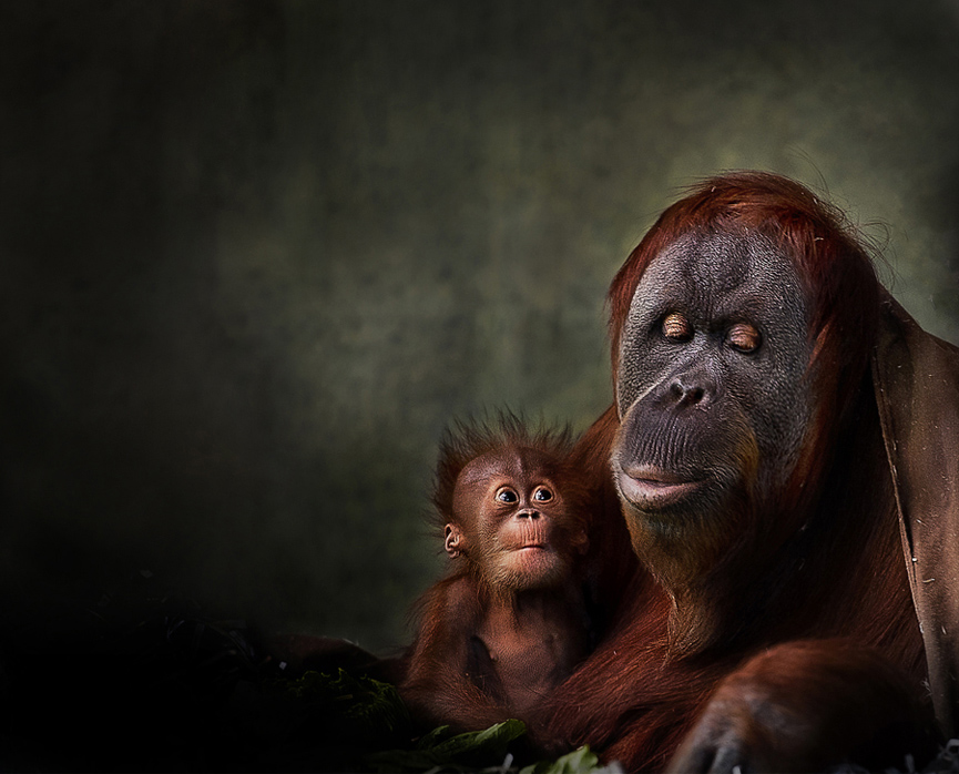 Social Moments. Arthur Xanthopoulos