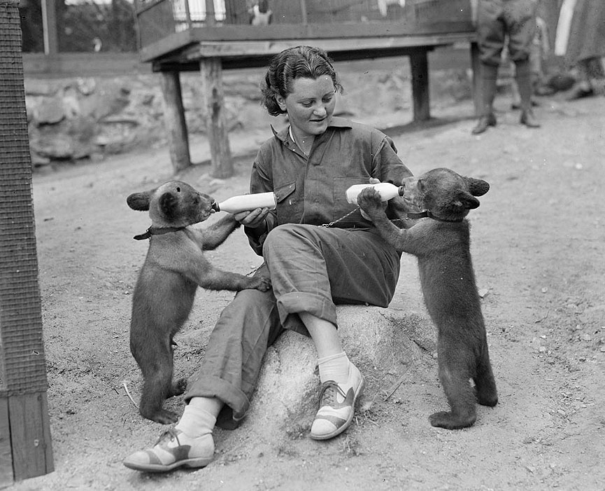 El fuego arde en lo profundo de la naturaleza australiana. Boston Public Library