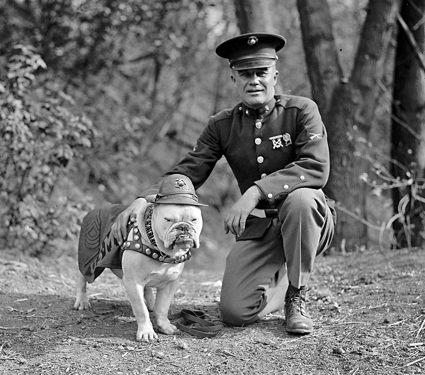 Sargento Jiggs, la mascota del Cuerpo de Marina en Washington, 1925. Biblioteca del Congreso