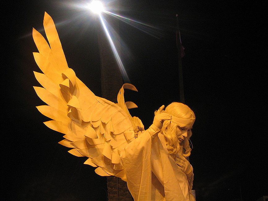 La luz del Angel. Ignacia Ruiz