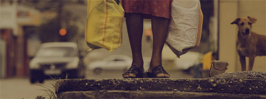 La vida de un perro callejero