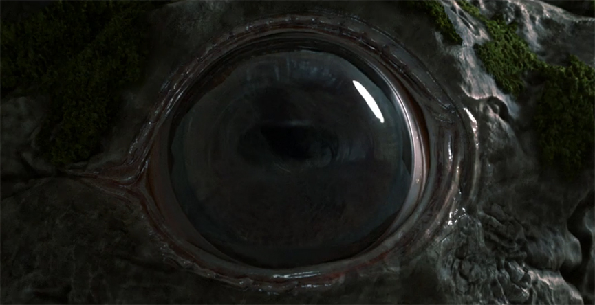 Tu también formas parte de la cadena alimentaria