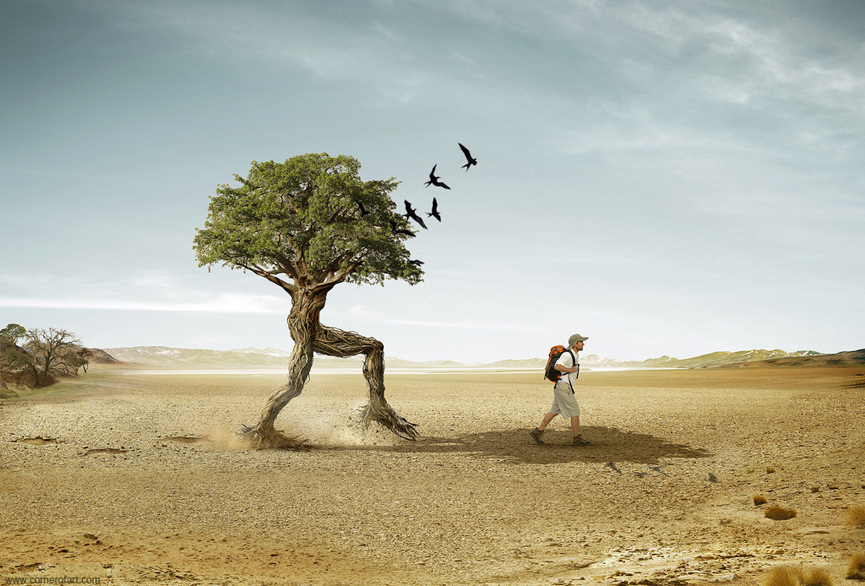 Trees Walker. Animation Studios