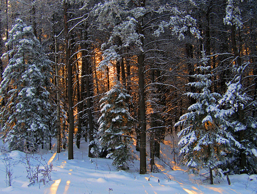 Amanecer. Paul Pluskwik