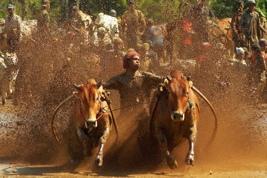 La salida. Muhammad Fadli