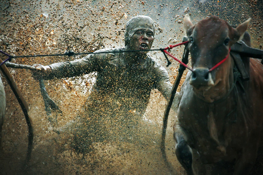 La competición se celebra en una charca. Tribuana