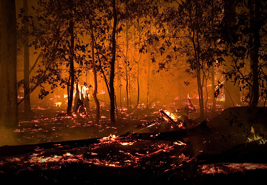 El fuego arde en lo profundo de la naturaleza australiana. Dean Symons