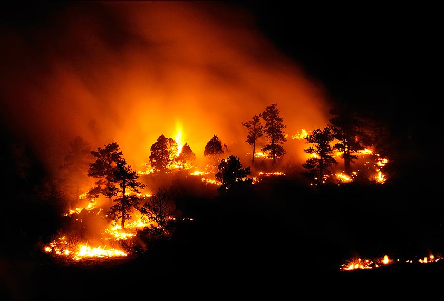 Fuego cerca de Golden, Colorado. Daskibum