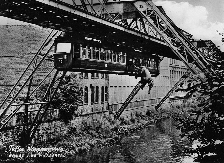 Fotomontaje del elefante Tuffi saltando al vacío desde el monorrail suspendido de Wuppertal. Trams DownUnder