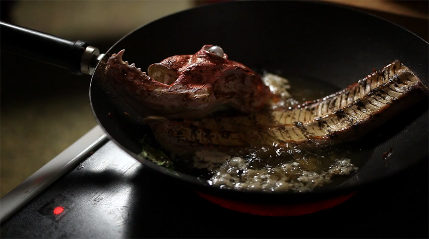 Otto and the Electric Eel